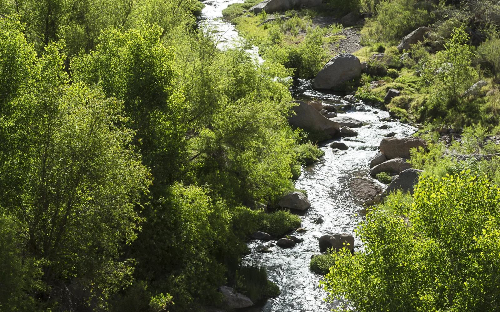 A desert canyon landscape showing the natural terrain of Aravaipa Canyon Wilderness Area